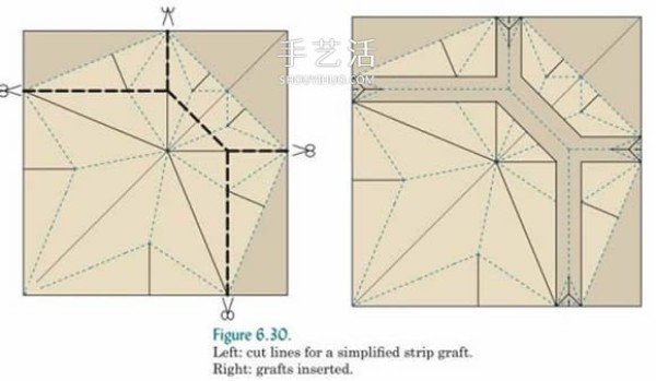 Basic knowledge of origami design also includes an introduction to origami technology and snake belly