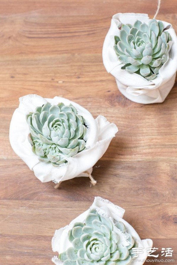 Creative DIY small fresh succulent plant pots