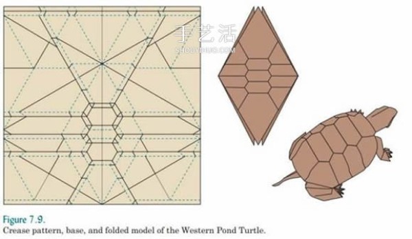 Basic knowledge of origami design also includes an introduction to origami technology and snake belly