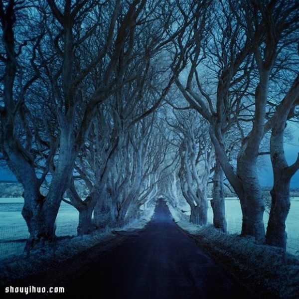 A breakdown of the worlds loneliest roads. Do you dare to go there alone? 