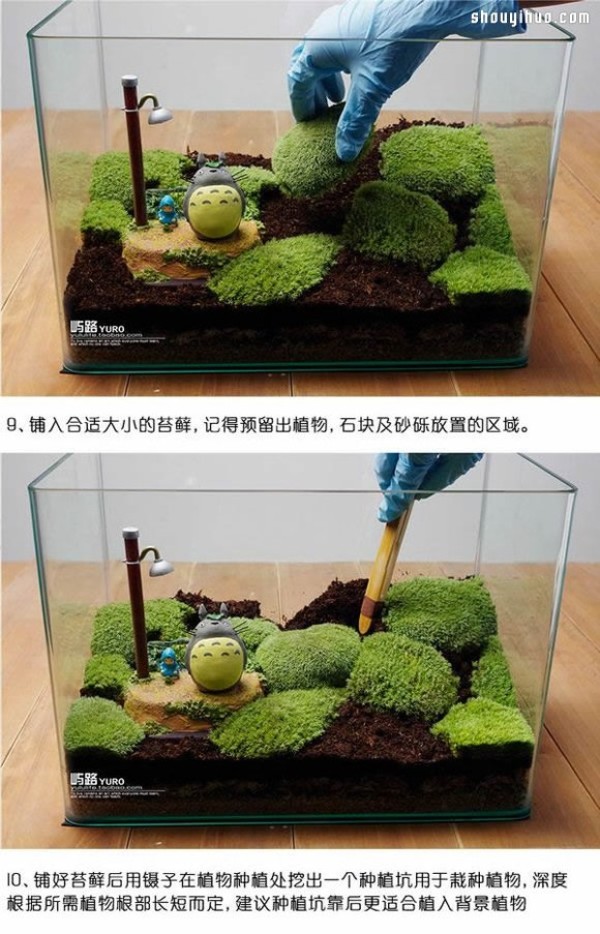 Detailed illustrated tutorial on materials and methods for making moss micro-landscapes