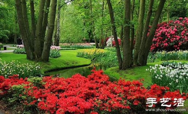 The most beautiful garden in spring - Keukenhof Park