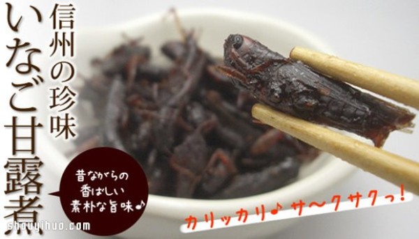 Insects PK seafood, which Japanese dark cuisine do you dare to eat? 