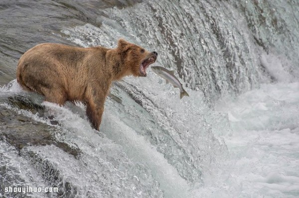 Appreciation of entries in the 2014 National Geographic Photography Contest