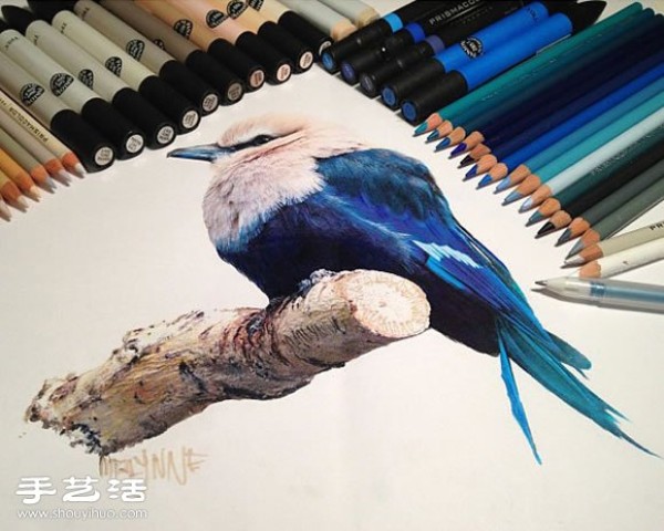 Lifelike animal paintings hand-painted with ordinary paintbrushes