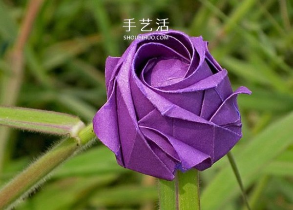 The origami illustration of the five-petal Kawasaki rose, the steps are explained in great detail! 