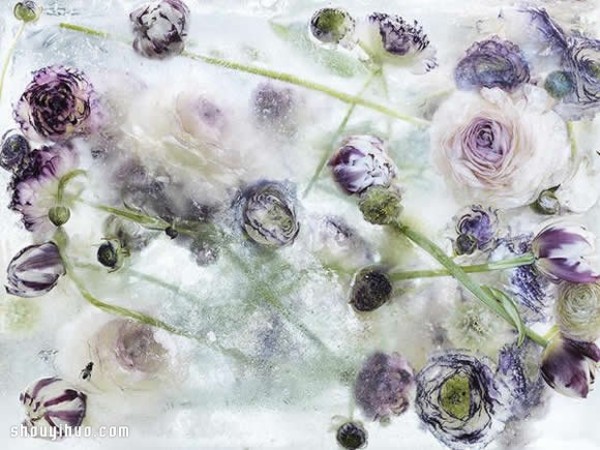 Creative DIY photography of frozen flowers and plants is as beautiful as an oil painting! 