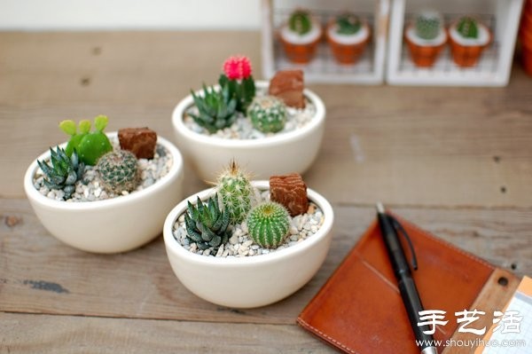 DIY Cute Cactus Potted Plant