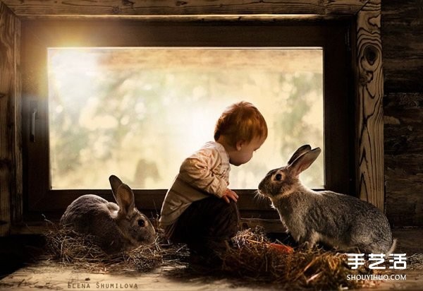 Appreciation of heart-warming photography of a cute little boy and animals