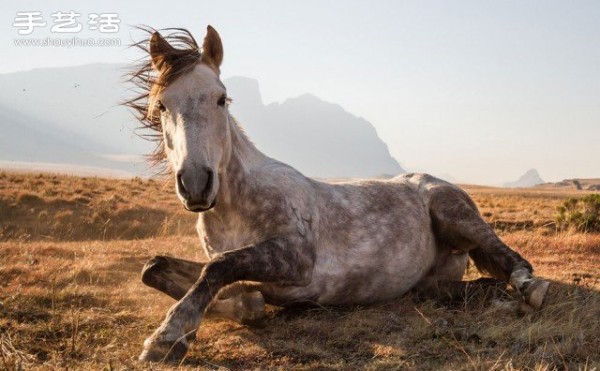 Appreciation of the winning works of the 2014 National Geographic Photography Competition