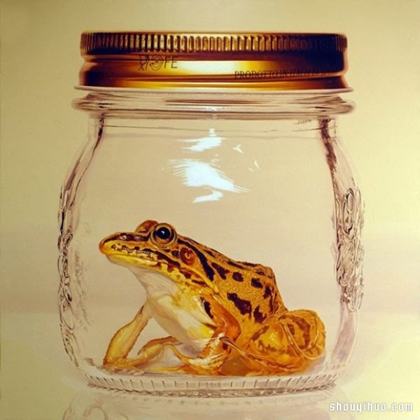 Young-Sung Kims hyper-realistic animal paintings