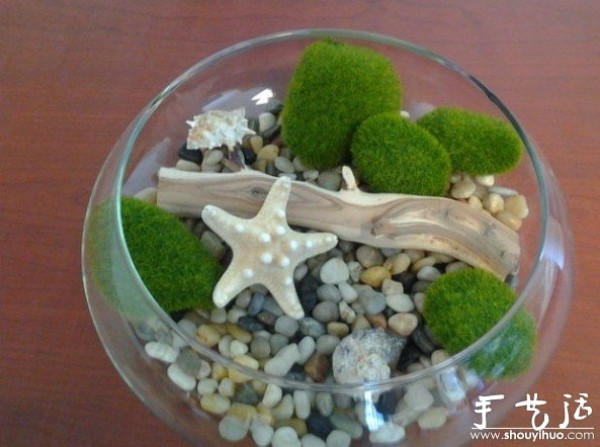 Ocean style home decoration bonsai DIY tutorial