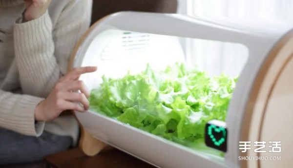 Foop, a small indoor vegetable garden that allows you to easily grow vegetables at home