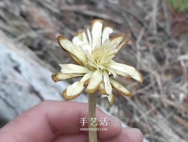 Illustrated tutorial on how to carve simple handmade branches to make flowers