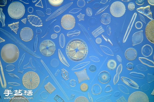 The visual art of the beautiful arrangement of single-celled diatoms under the microscope