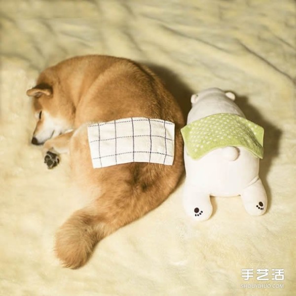 The Akita dog and its white bear best friend are sleeping in the same posture, so cute! 