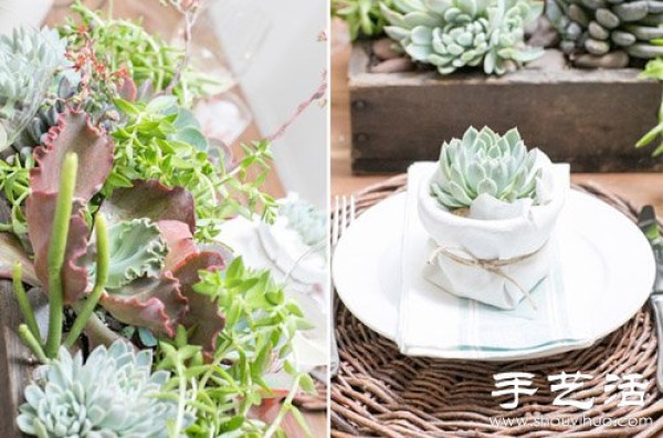 Creative DIY small fresh succulent plant pots