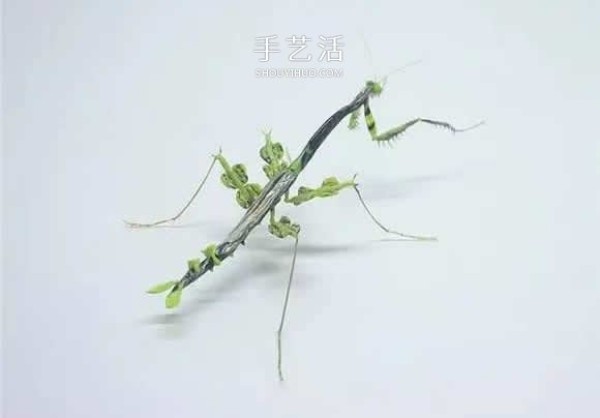 The extremely realistic insect glass sculpture is restored one to one! 