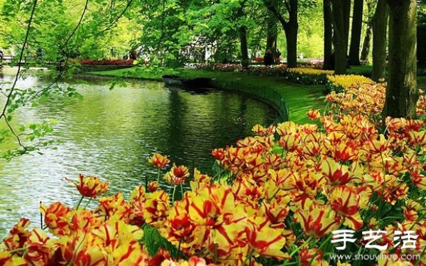 The most beautiful garden in spring - Keukenhof Park