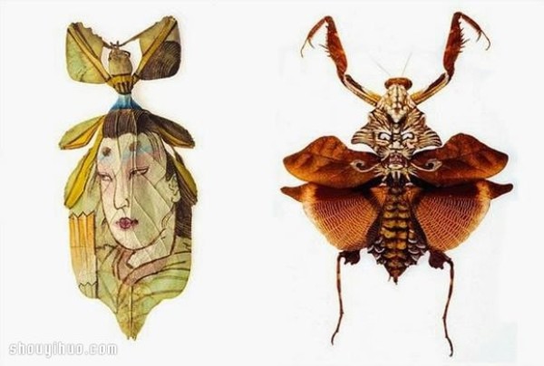 Scary but beautiful! Mask painting on insect specimens