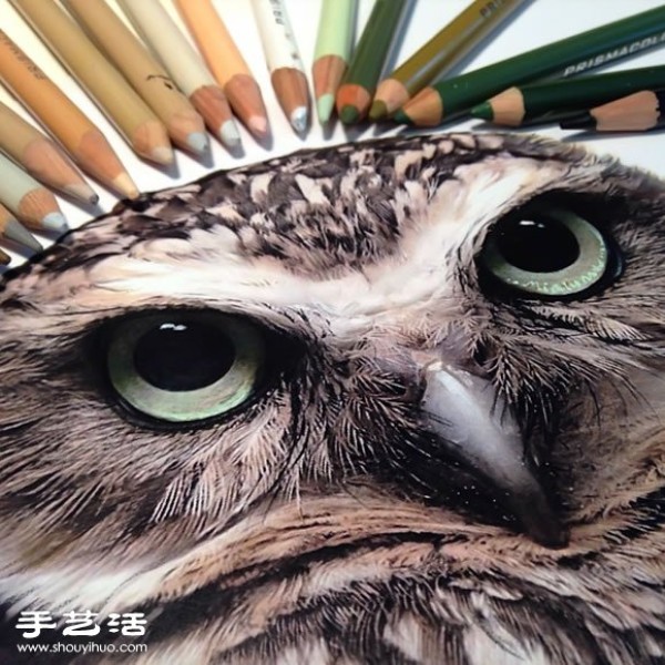 Using an ordinary paintbrush to hand-draw lifelike animal paintings