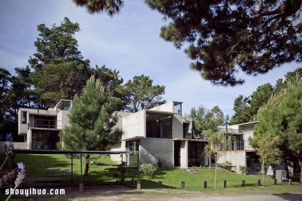 Forest villa design created by combining concrete and glass materials