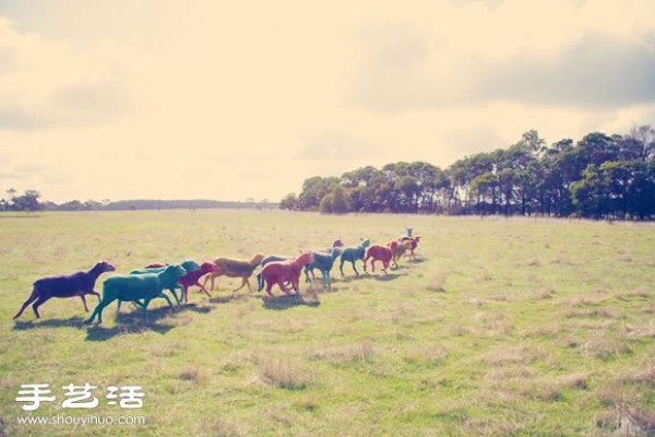 Fantasy Color Sheep Photography "DREAM SERIES"