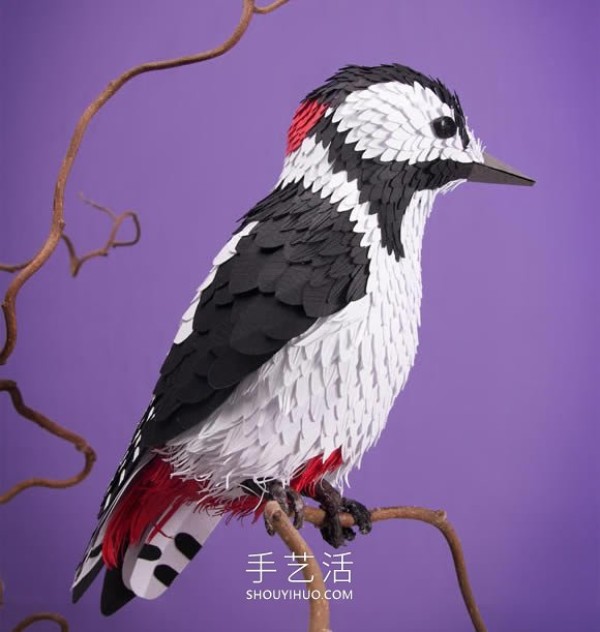 Artist uses 4000 sheets of paper to sculpt realistic birds and butterflies