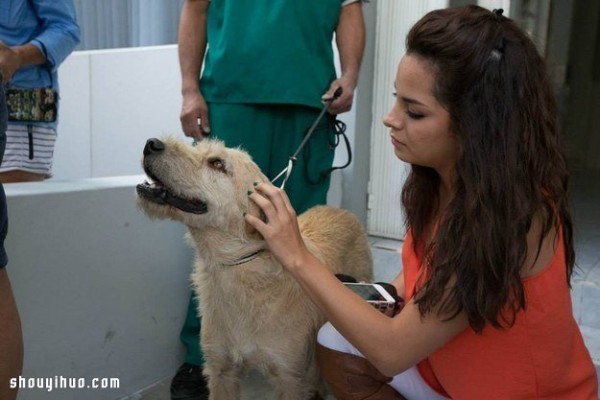 A touching story about an extreme athlete meeting a stray dog