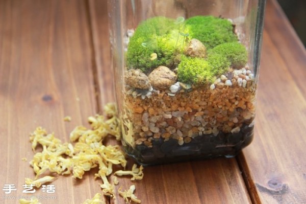 DIY cute moss landscaping, homemade beautiful moss micro-landscape