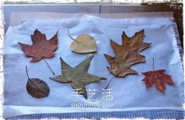 How to make handmade Mid-Autumn Festival lanterns with fallen leaves in autumn