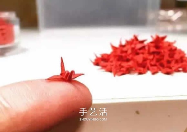 A great person to have fun with origami! The last thousand paper cranes make exquisite bonsai trees