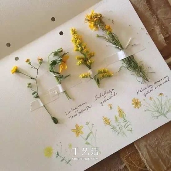 Four ways to make dried flowers, DIY beautiful gift ornaments by hand