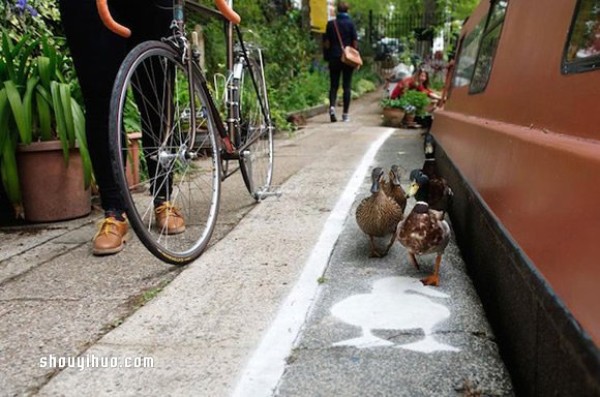 The "Duck Walk" beside the British canal shows the gentlemans character