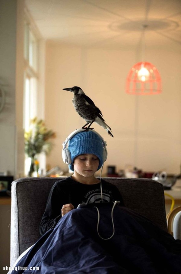 The heart-warming story of the little boy Noah and the magpie Penguin