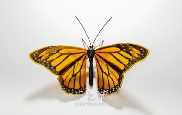 Realistic butterfly glass sculpturePlastic! Based on the endangered butterfly