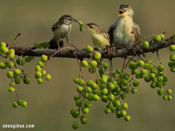 Appreciation of the entries in the 2014 National Geographic Photography Contest