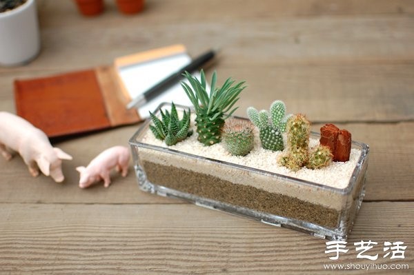 DIY Cute Cactus Potted Plant