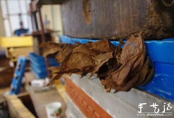 The secret of the hand-making process of Cuban cigars