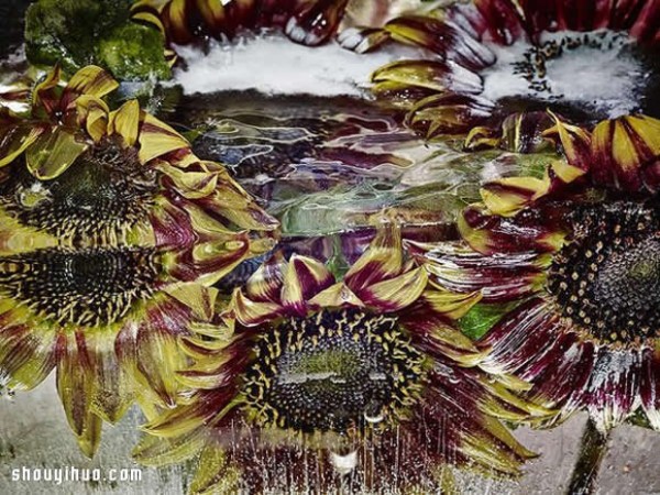 Creative DIY photography of frozen flowers and plants is as beautiful as an oil painting! 