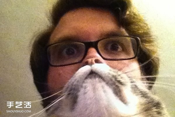 Funny selfie photos using pet cats to create cute beards