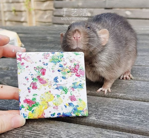 The miniature paintings created by the talented mouse have been sold out! 