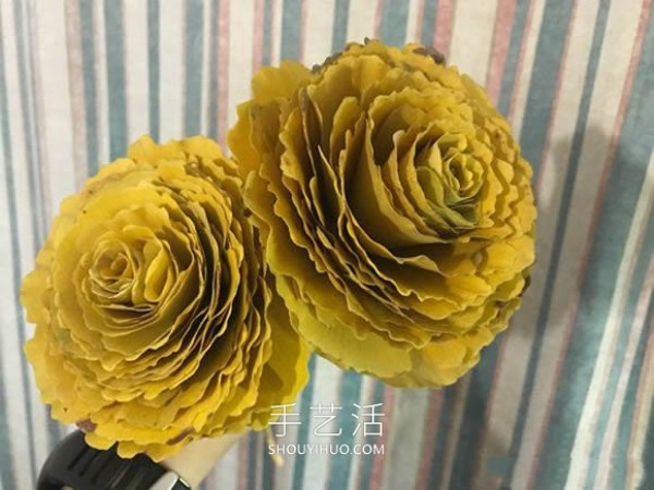 Illustrated tutorial on how to make homemade ginkgo leaf roses