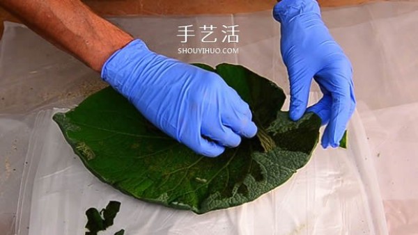 Cement concrete leaf decorative plate can also be used as a fruit plate! 