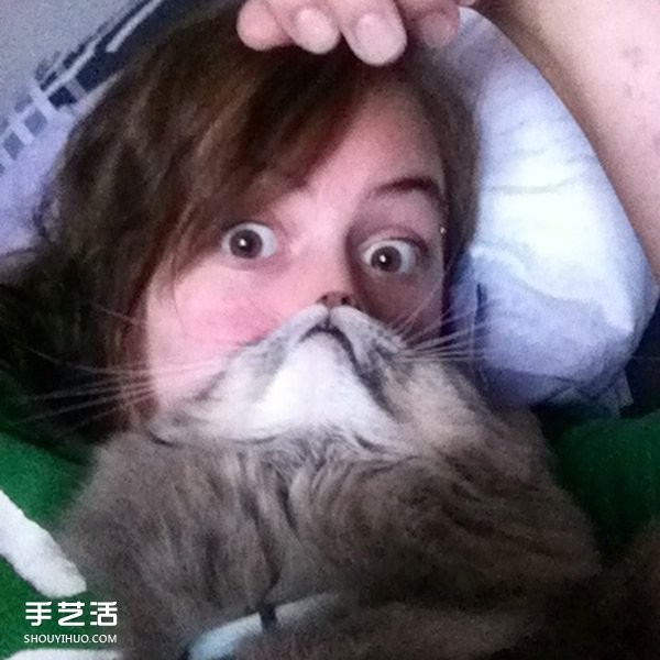 Funny selfie photos using pet cats to create cute beards