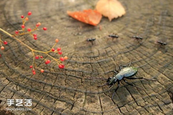 Tiny brilliant luster! Glass insect sculpture that tests your eyesight and skill