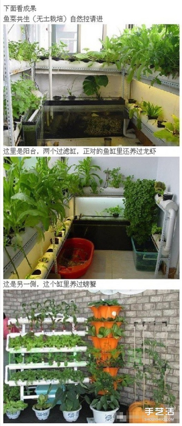 PVC pipe vegetable planting design drawing and the method of using PVC pipes and balcony to grow vegetables