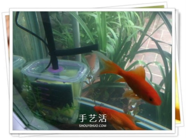 How to make a homemade fish tank filter for just a few dollars, very practical! 