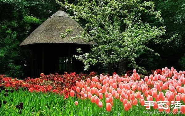 The most beautiful garden in spring - Keukenhof Park