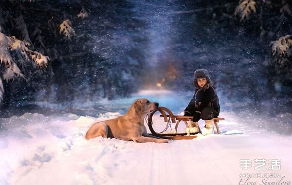 Appreciation of heart-warming photography of a cute little boy and animals